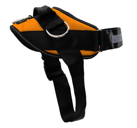 Soralise™ EasyWalk Pro
