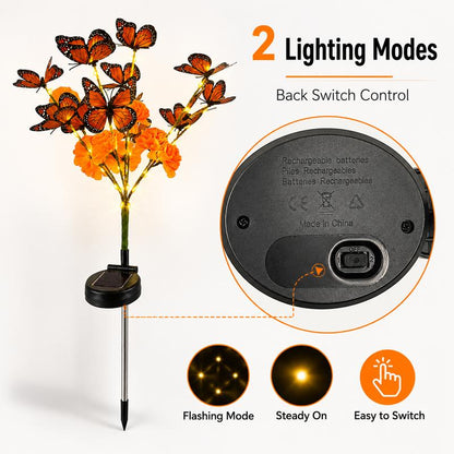 Soralise™ Mariposa de Luz VIP