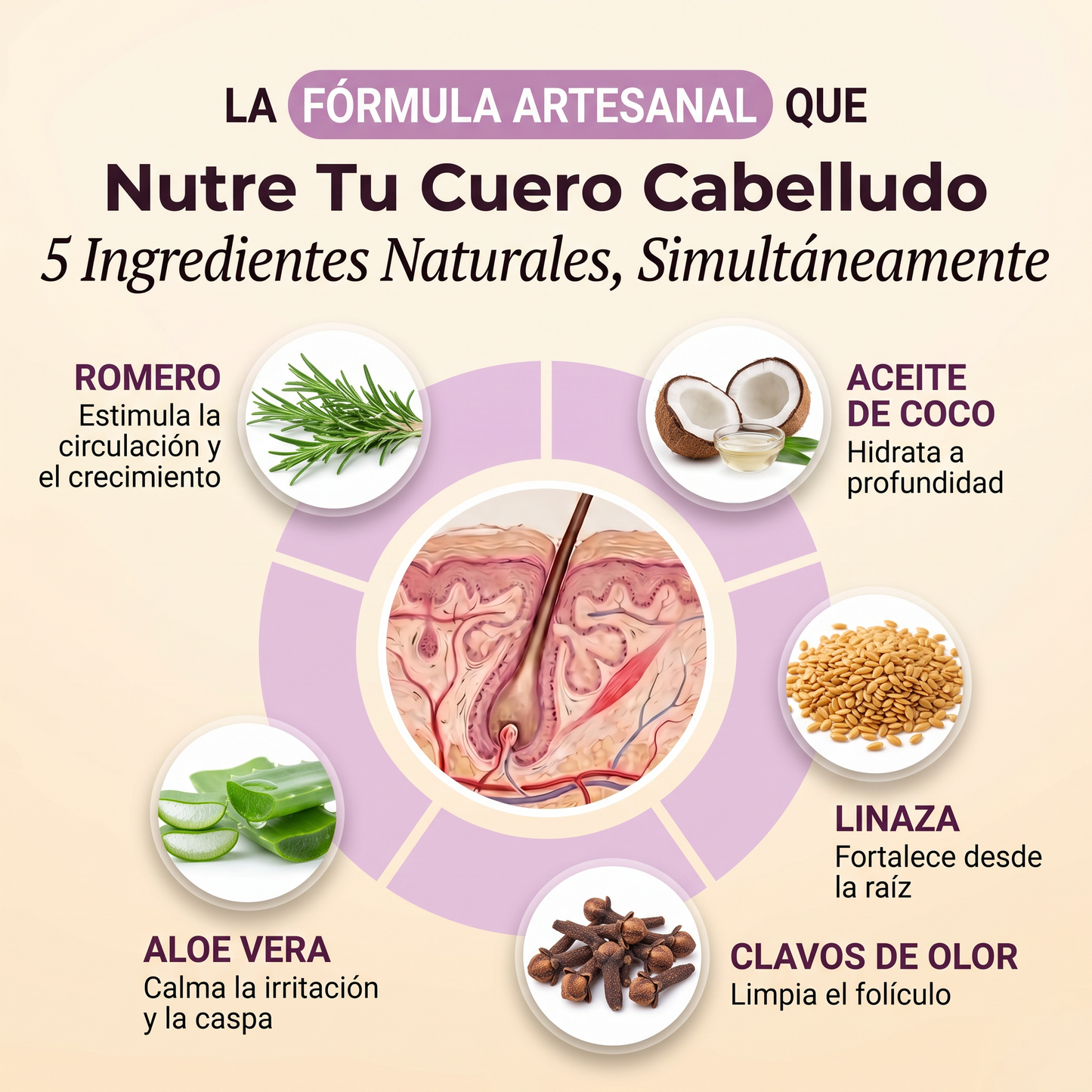 Soralise™ Aceite de Romero Capilar