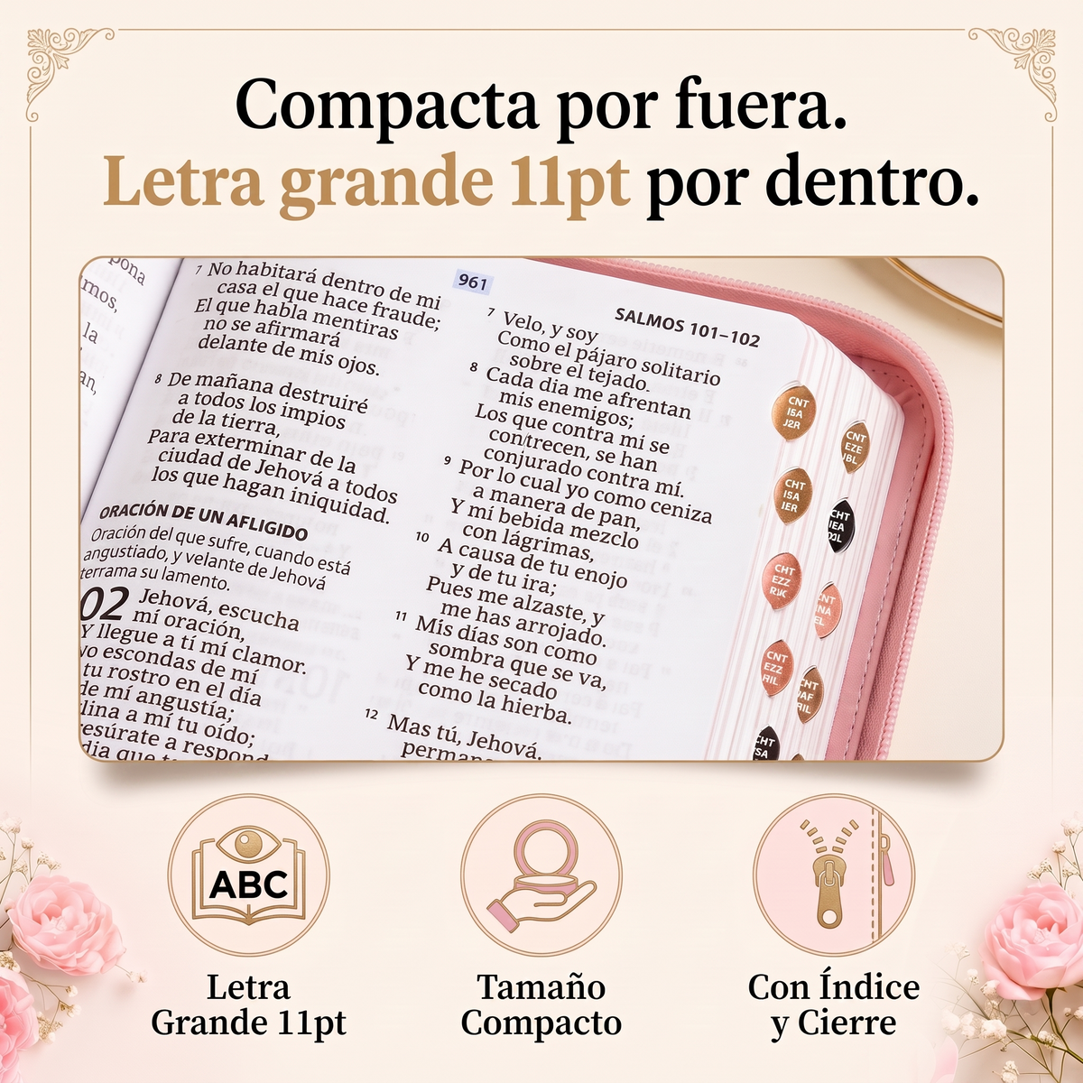 Soralise™ Biblia Compacta Letra Grande RVR 1960